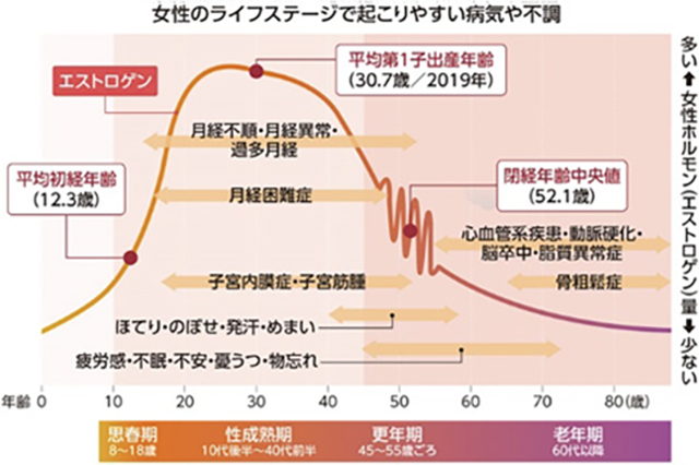 女性ホルモン